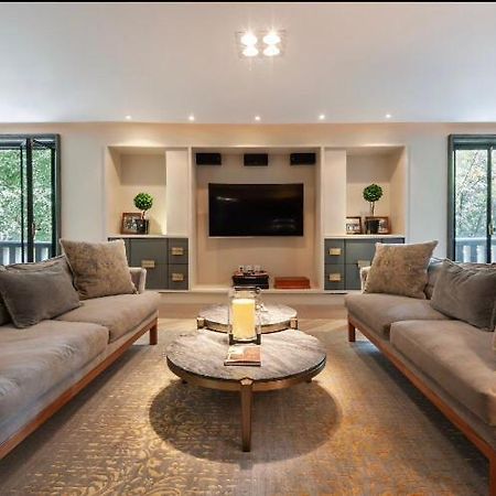 Condesa Super Loft Apartment Mexico City Ngoại thất bức ảnh